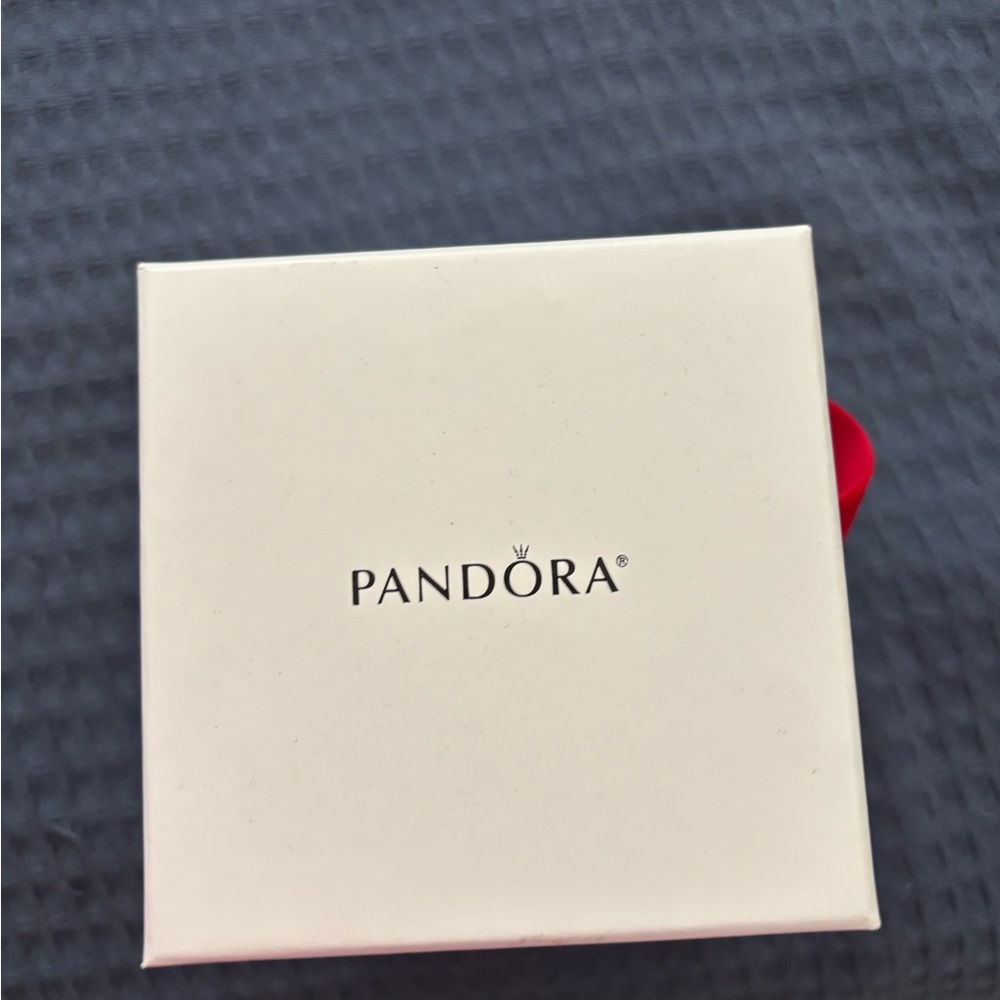 New in box .. limited edition 2018 charm and ornament